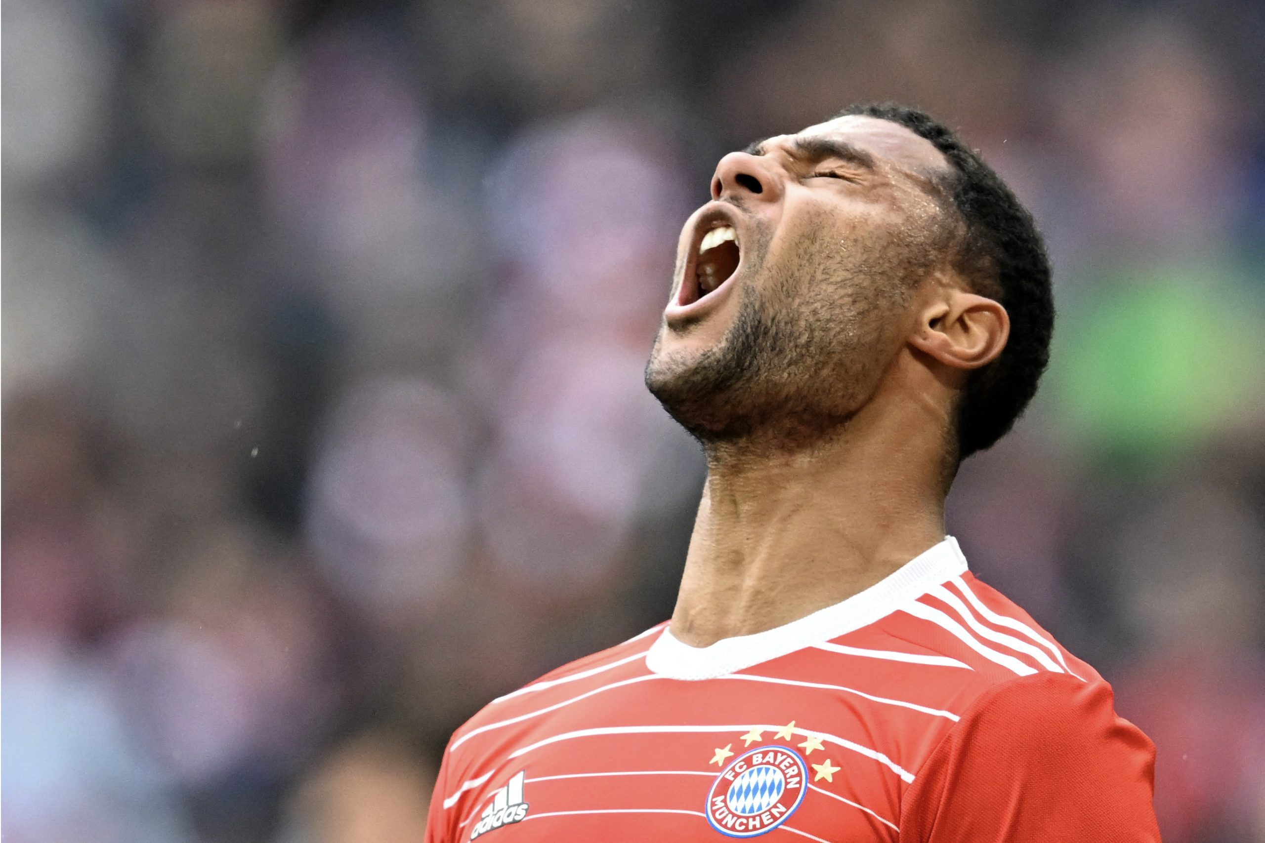 FC Bayern München wieder mit Punktverlust Nur 11 gegen Hoffenheim