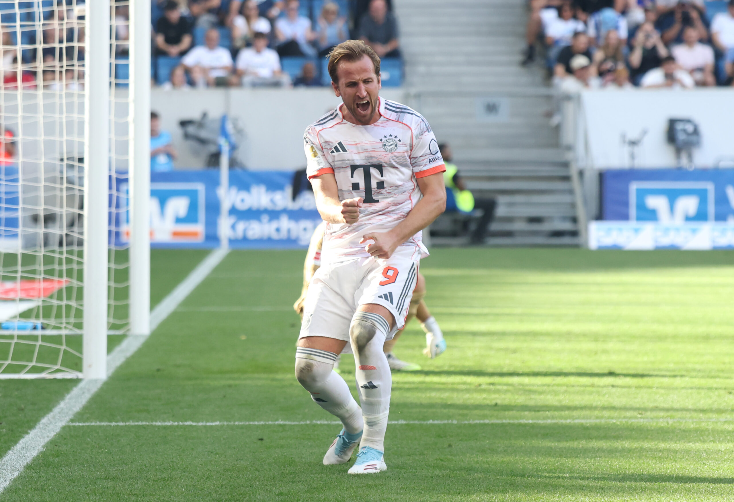 Harry Kane jubelt für den FC Bayern in Hoffenheim.