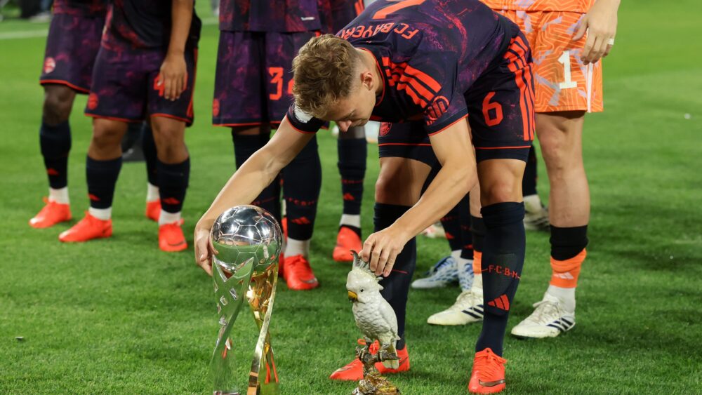 FC Bayern, FCB, Bundesliga, DFB-Team, Champions League, Alt Text vergessen