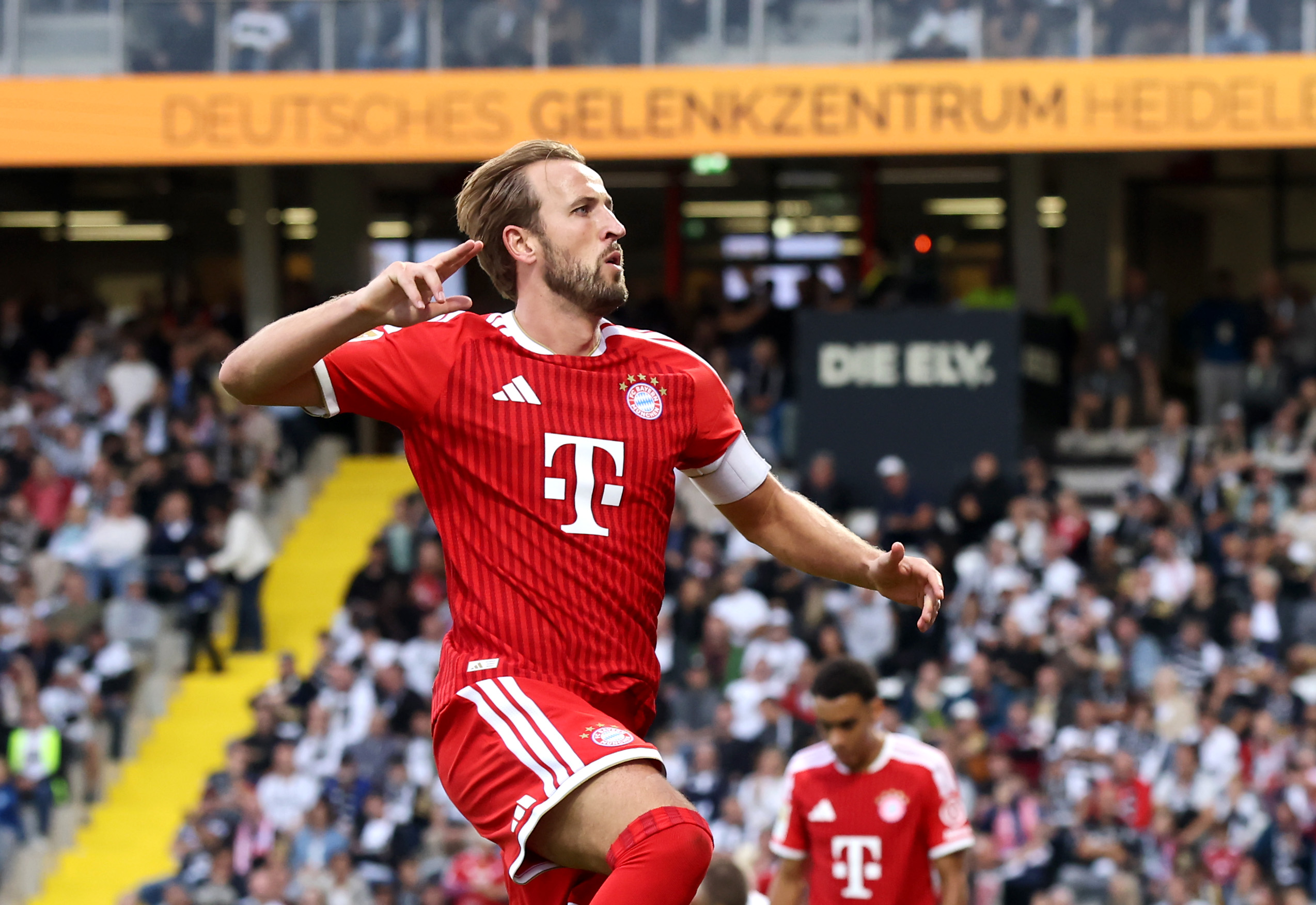 Harry Kane (FC Bayern)